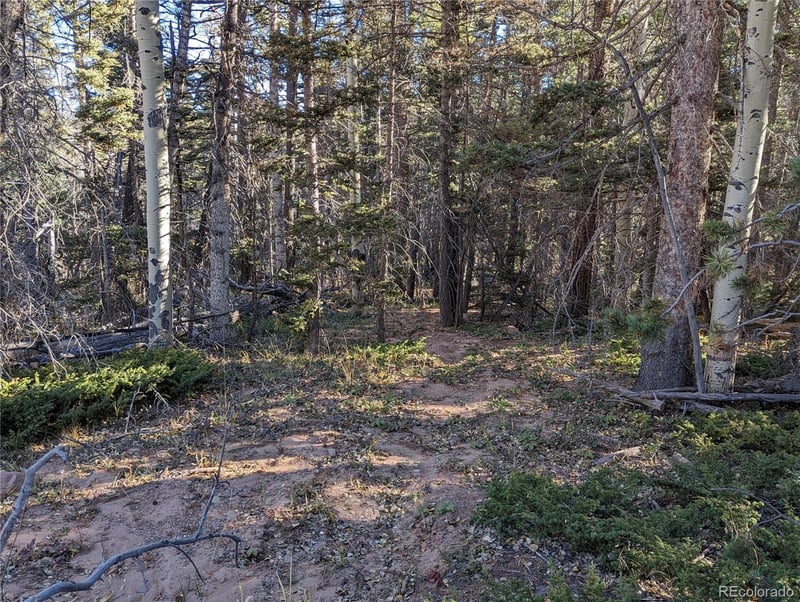 3067 Forbes Park Loop, Fort Garland, CO 81133