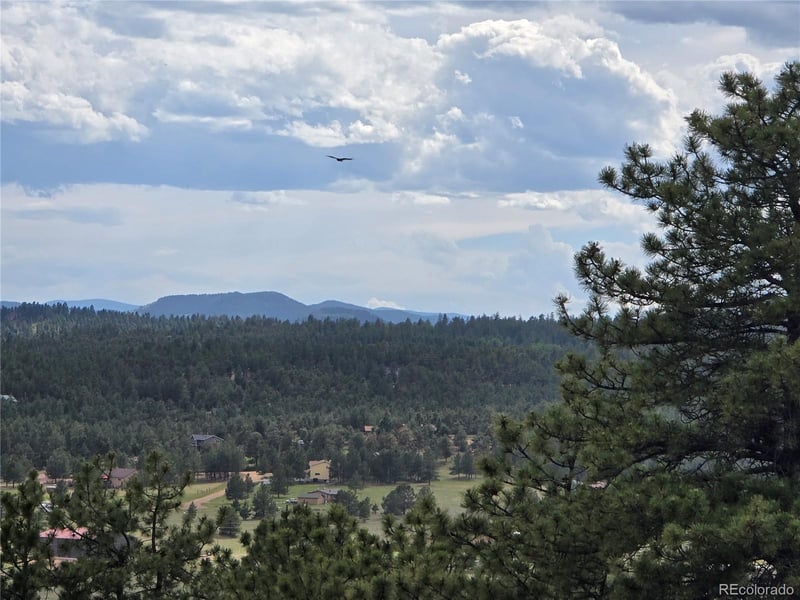 71 Elkhorn Cir, Florissant, CO 80816