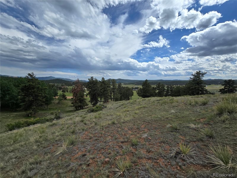 71 Elkhorn Cir, Florissant, CO 80816