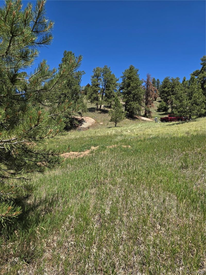 71 Elkhorn Cir, Florissant, CO 80816