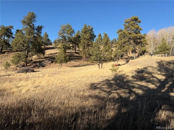 71 Elkhorn Cir, Florissant, CO 80816