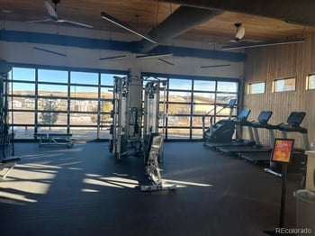 624 Simmental Loop, Castle Rock, CO 80104