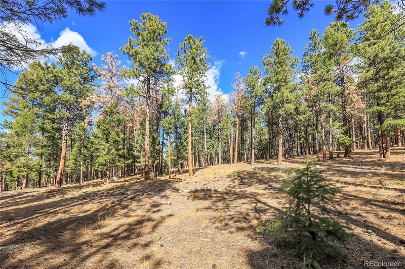 27551 Molly Dr, Conifer, CO 80433