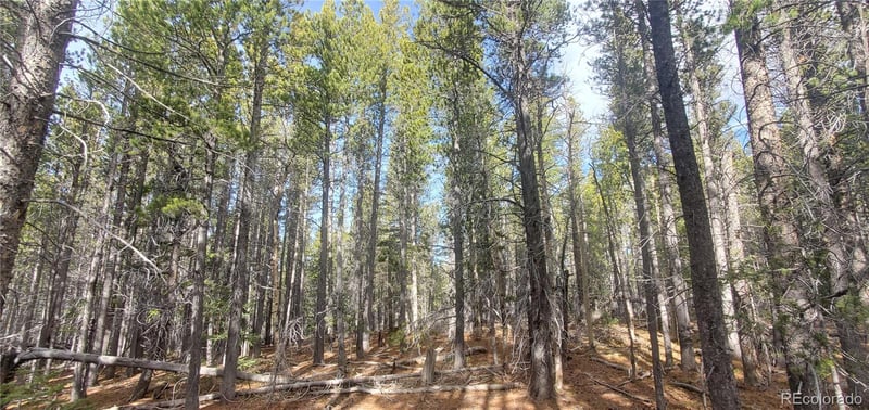Lot 3246 Zipf Ln, Fort Garland, CO 81133