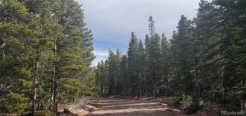 Lot 3246 Zipf Ln, Fort Garland, CO 81133