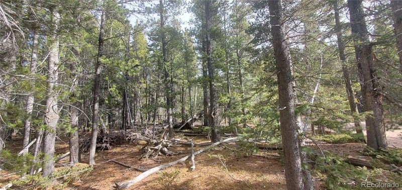 Lot 3246 Zipf Ln Lot 3246, Fort Garland, CO 81133