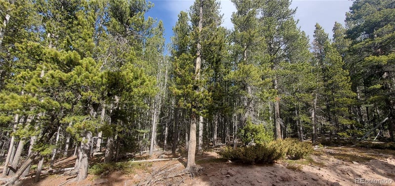 Lot 3246 Zipf Ln Lot 3246, Fort Garland, CO 81133