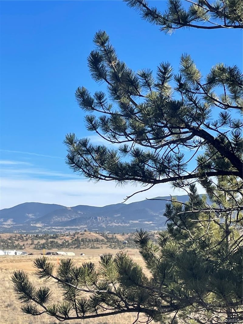 00 Oak St, Hartsel, CO 80449