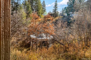 6885 Colorado St, Green Mountain Falls, CO 80819