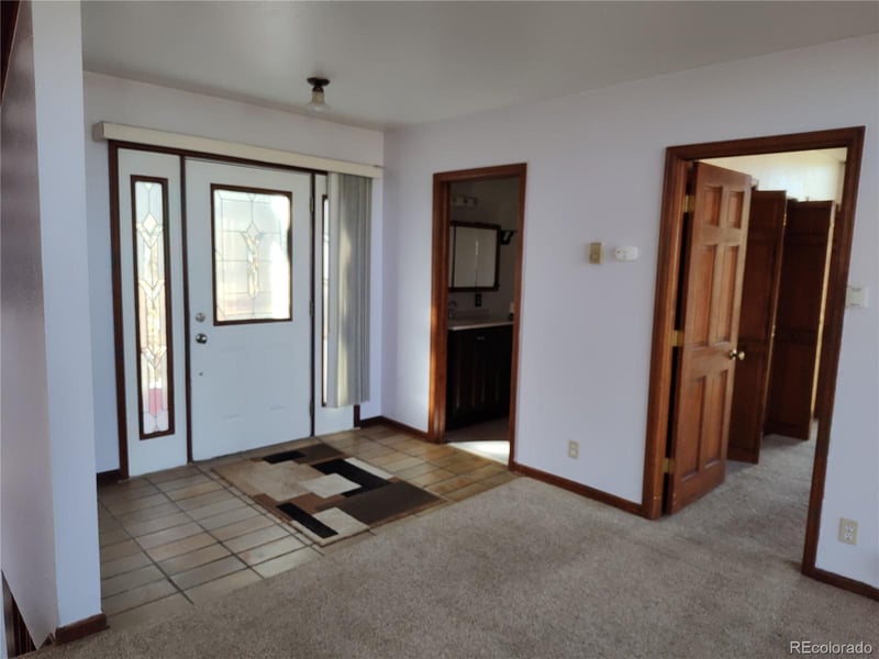 2584 High Creek Rd, Fairplay, CO 80440