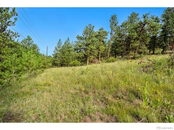 15 Estes Valley View Ct, Estes Park, CO 80517