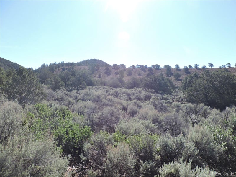 Lot 7563 Dolder Rd Lot 7563, Fort Garland, CO 81133