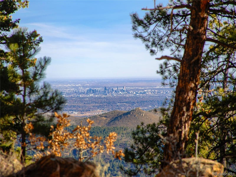 10256 Horizon View Dr, Morrison, CO 80465