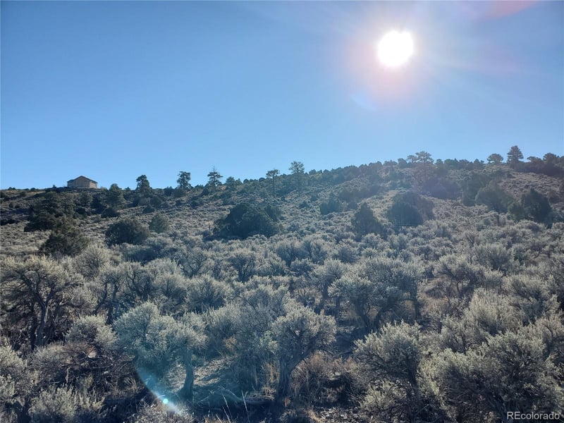 Lot 4601 Miller Rd Lot 4601, Fort Garland, CO 81133