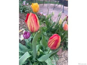 1111 Utica Cir, Boulder, CO 80304