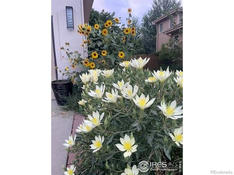 1111 Utica Cir, Boulder, CO 80304