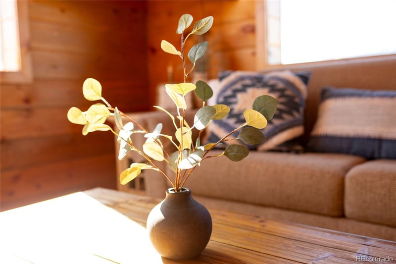 415 Ridge Dr, Creede, CO 81130