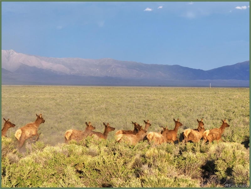 8397 Lane 2 , Mosca, CO 81101