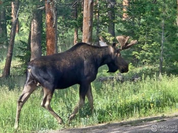 18673 State Highway 7, Lyons, CO 80540