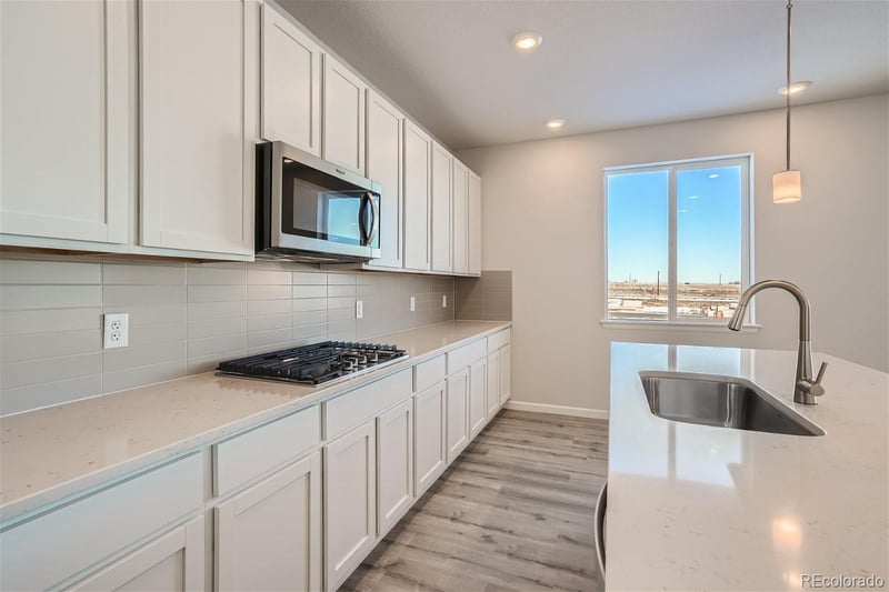 1481 Loraine Cir N, Erie, CO 80026