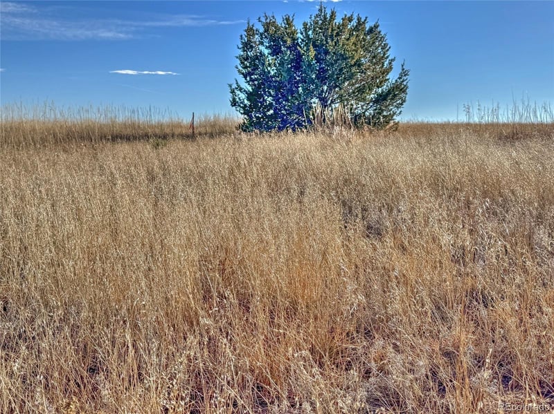 TBD-L309 Morgan Pl, Colorado City, CO 81019