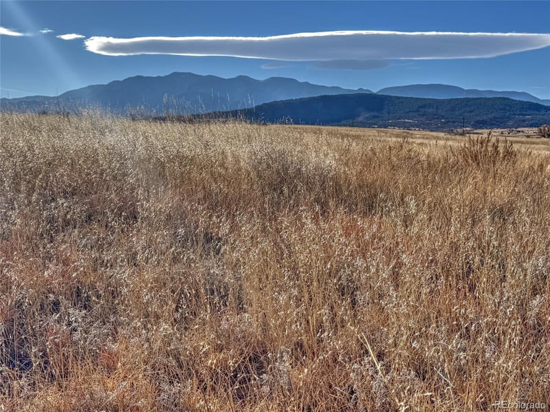 TBD-L309 Morgan Pl, Colorado City, CO 81019