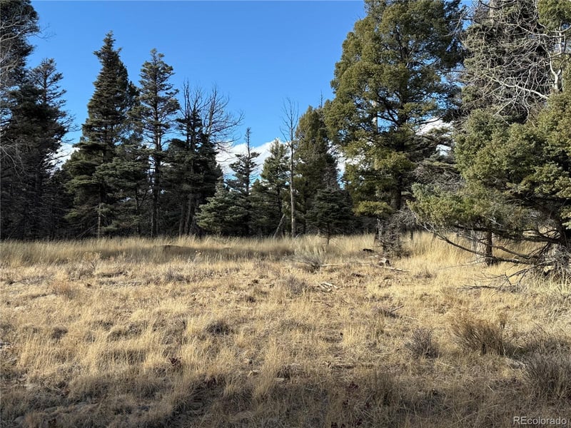 310 Morley Pl Lot 310, Fort Garland, CO 81133
