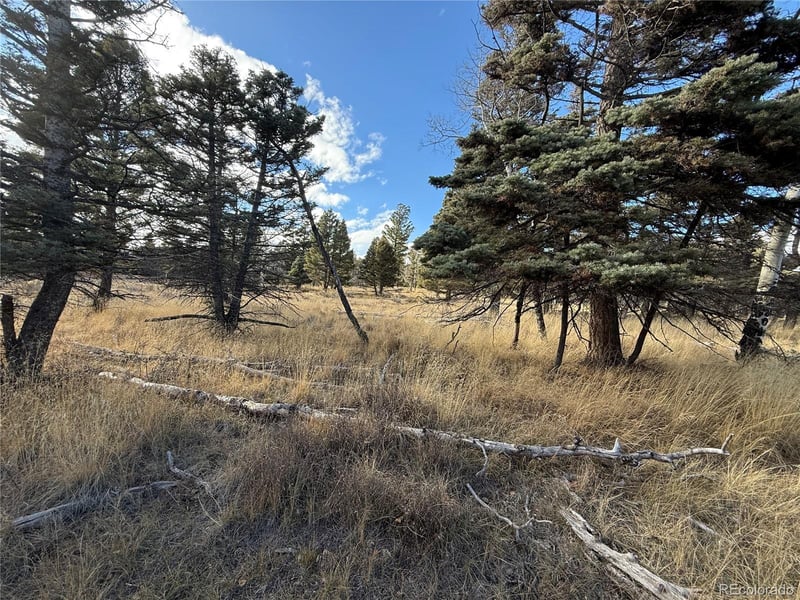 310 Morley Pl Lot 310, Fort Garland, CO 81133