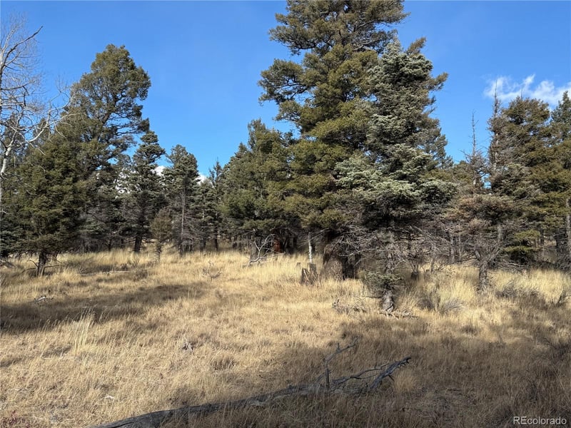 310 Morley Pl Lot 310, Fort Garland, CO 81133