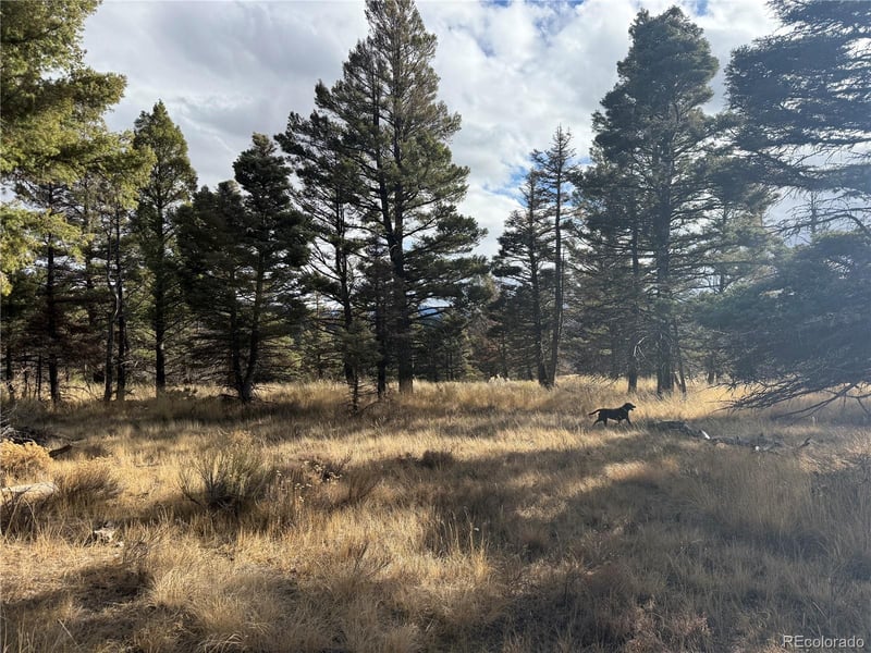 310 Morley Pl Lot 310, Fort Garland, CO 81133