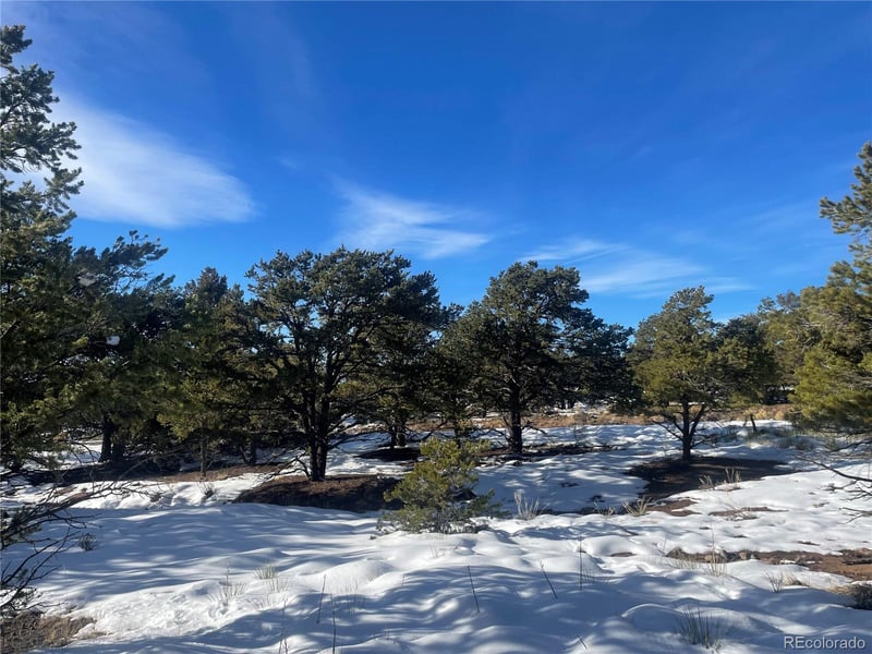 1195 Hilltop Way, Crestone, CO 81131