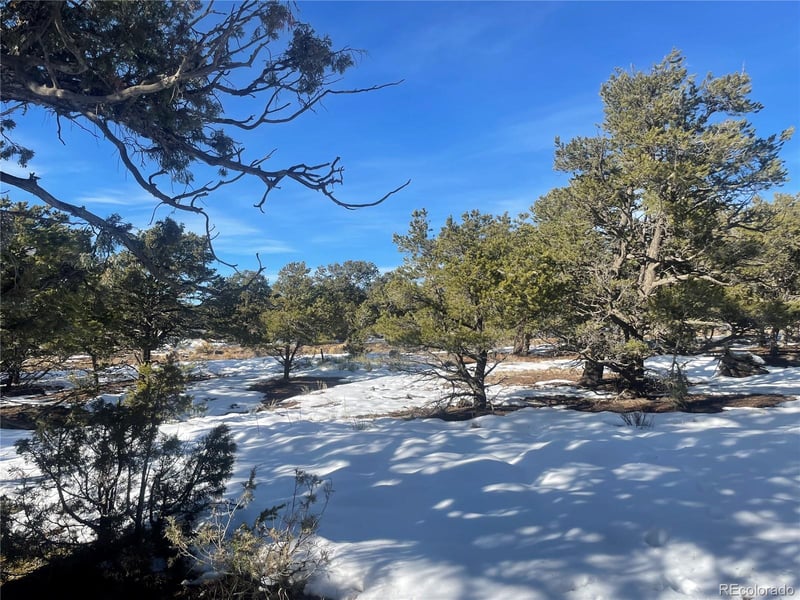 1195 Hilltop Way, Crestone, CO 81131