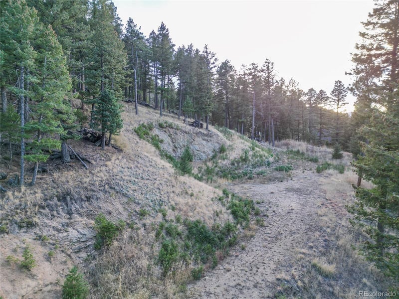 26779 Fern Gulch Rd, Evergreen, CO 80439