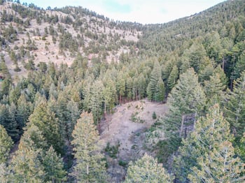 26779 Fern Gulch Rd, Evergreen, CO 80439