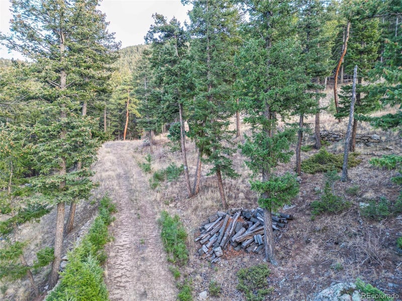 26779 Fern Gulch Rd, Evergreen, CO 80439
