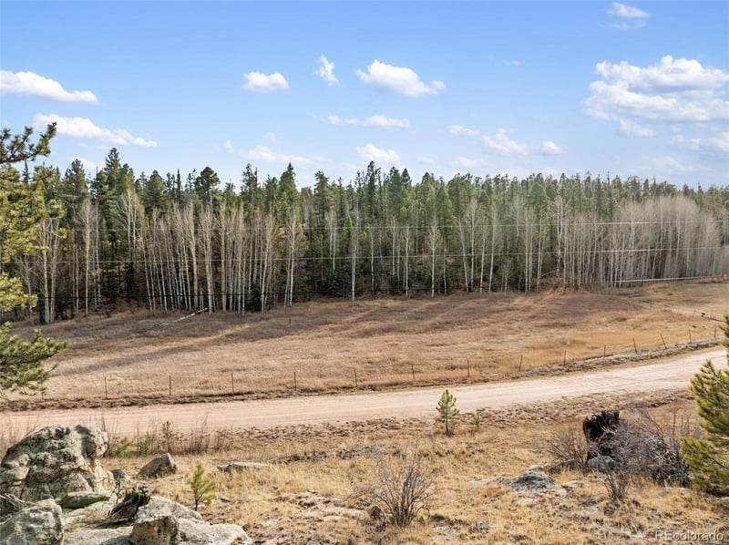 263 Valley Dr, Lake George, CO 80827