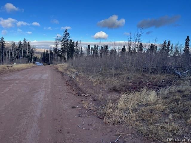 Lot 2544 Petito Dr, Fort Garland, CO 81133