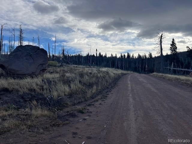 Lot 2544 Petito Dr, Fort Garland, CO 81133