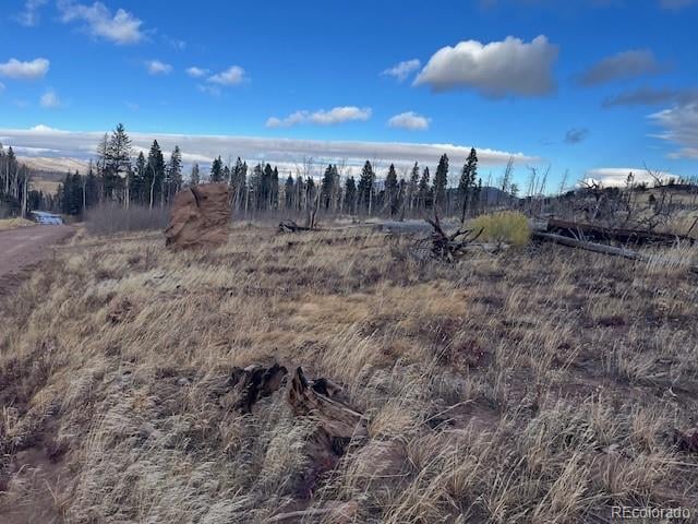 Lot 2544 Petito Dr, Fort Garland, CO 81133