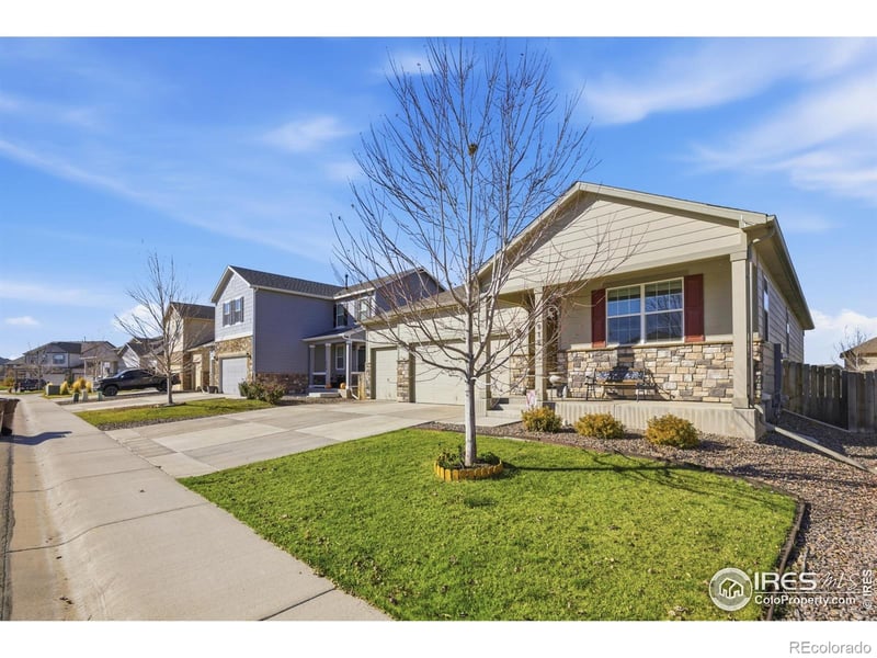 916 Birchdale Ct, Windsor, CO 80550