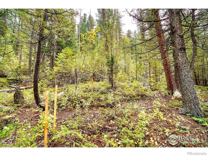 10862 Twin Spruce Rd, Golden, CO 80403