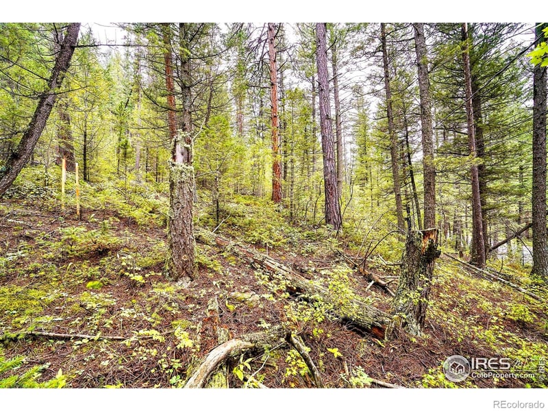 10862 Twin Spruce Rd, Golden, CO 80403