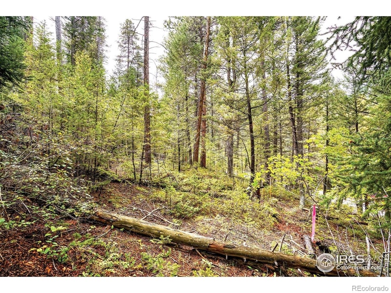 10862 Twin Spruce Rd, Golden, CO 80403