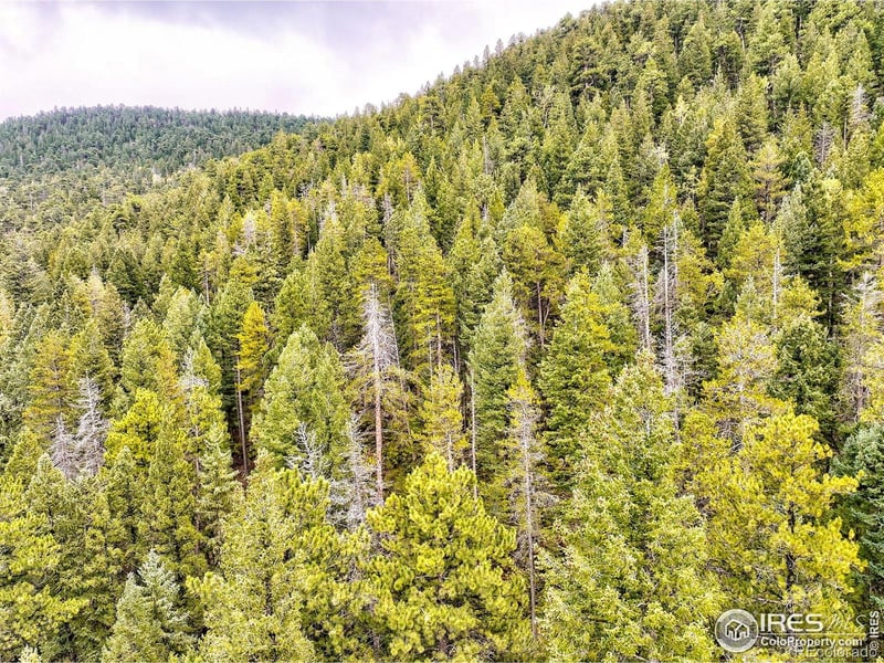 10862 Twin Spruce Rd, Golden, CO 80403