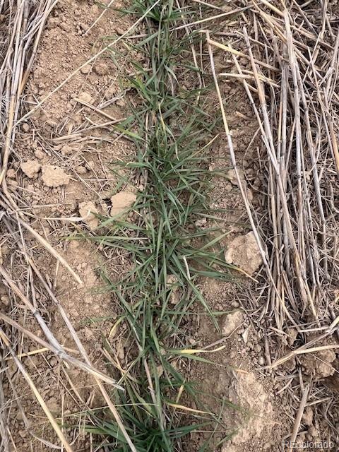 Tbd E 112th Ave, Bennett, CO 80102