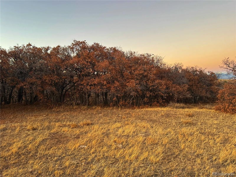 168 Colorado Land And Grazing, Gardner, CO 81040