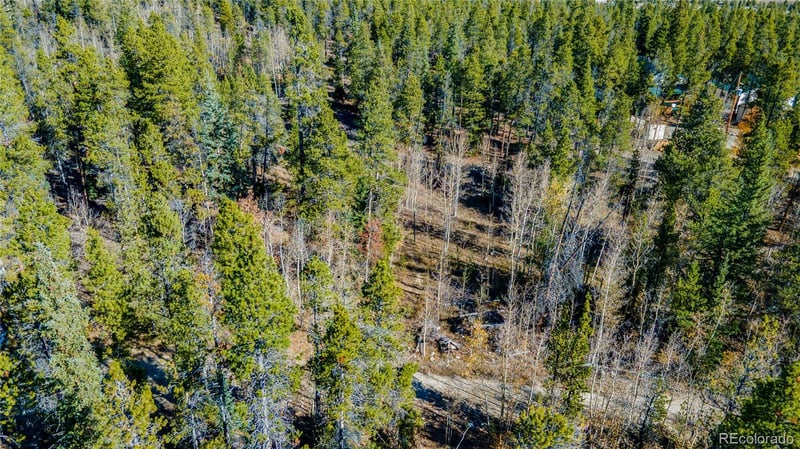 235 Willow Ln, Fairplay, CO 80440