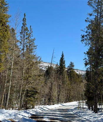 235 Willow Ln, Fairplay, CO 80440