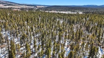 235 Willow Ln, Fairplay, CO 80440