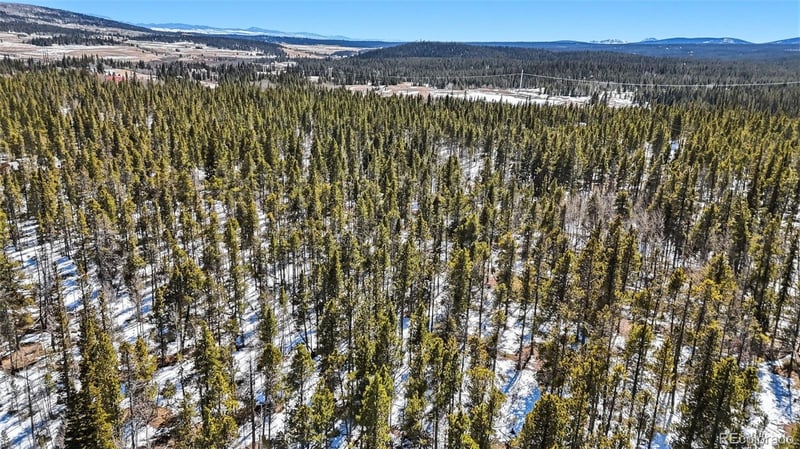 235 Willow Ln, Fairplay, CO 80440